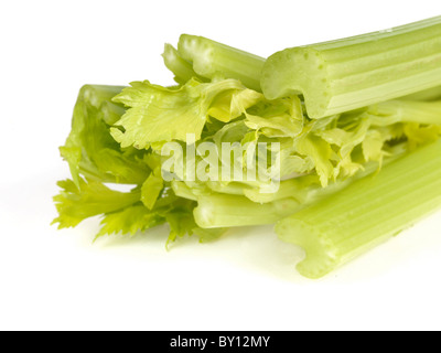 Crudo fresco sedano crudo isolata contro uno sfondo bianco con nessun popolo e un tracciato di ritaglio Foto Stock