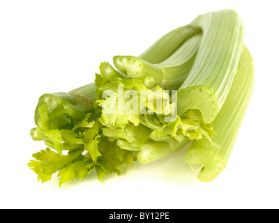 Crudo fresco sedano crudo isolata contro uno sfondo bianco con nessun popolo e un tracciato di ritaglio Foto Stock