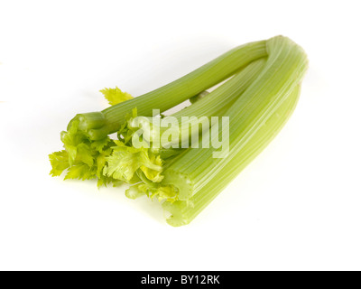 Crudo fresco sedano crudo isolata contro uno sfondo bianco con nessun popolo e un tracciato di ritaglio Foto Stock