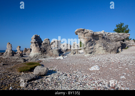 Mare di pietra calcarea di pile / raukar a Folhammar, Gotland, Svezia Foto Stock