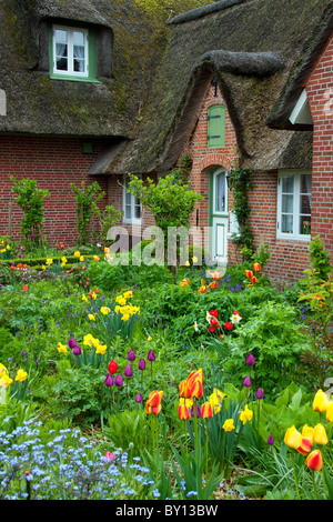 Fiori colorati in giardino di Frisone casa tradizionale con paglia-tetto di paglia a Sankt Peter-Ording, Frisia settentrionale, Germania Foto Stock