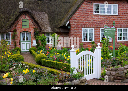 Fiori colorati in giardino di Frisone casa tradizionale con paglia-tetto di paglia a Sankt Peter-Ording, Frisia settentrionale, Germania Foto Stock