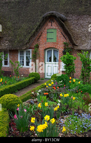 Fiori colorati in giardino di Frisone casa tradizionale con paglia-tetto di paglia a Sankt Peter-Ording, Frisia settentrionale, Germania Foto Stock