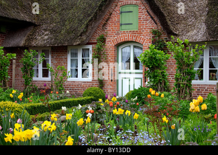 Fiori colorati in giardino di Frisone casa tradizionale con paglia-tetto di paglia a Sankt Peter-Ording, Frisia settentrionale, Germania Foto Stock