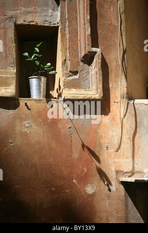 Ocra parete colorata in Roma Street Foto Stock