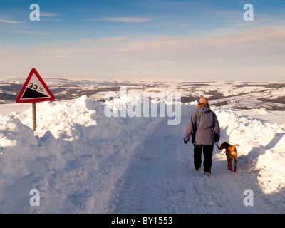 A piedi un cane in condizioni estreme di neve vicino al di sopra Eskdale vicino a Goathland sulla North Yorkshire Moors. Foto Stock