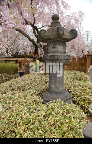 Giardino giapponese al Brooklyn Botanic Garden Foto Stock