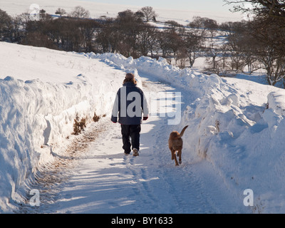 Cane a piedi verso il basso neve corsia legato vicino a Goathland sul Yorkshire Moors Foto Stock