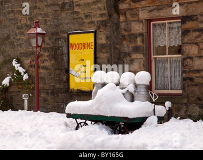 Un dettaglio della stazione di Goathland dopo il record della neve sul Yorkshire Moors Foto Stock