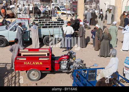 La Folla di Egiziani presso il settimanale del bestiame e mercato di cammelli nei pressi di Luxor in Egitto Foto Stock