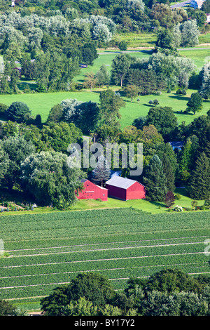 Due fienili rosso nel Connecticut River Valley Town di Sunderland. Foto Stock