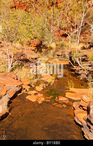 Waterhole in Weano Gorge, Karijini National Park, Pilbara, Australia occidentale Foto Stock