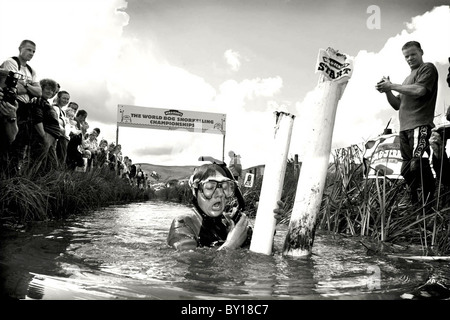 Il BOG Snorkeling Campionati del Mondo, Llanwrtyd Wells, metà del Galles. Foto Stock