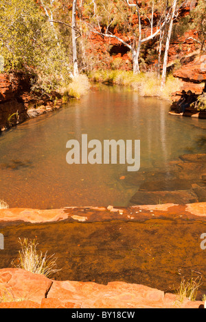 Waterhole in Weano Gorge, Karijini National Park, Pilbara, Australia occidentale Foto Stock