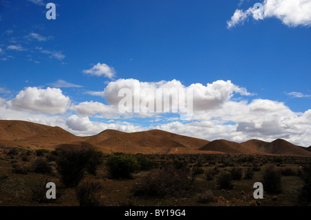 Il paesaggio del deserto di Karoo bacino. Sud Africa. Foto Stock