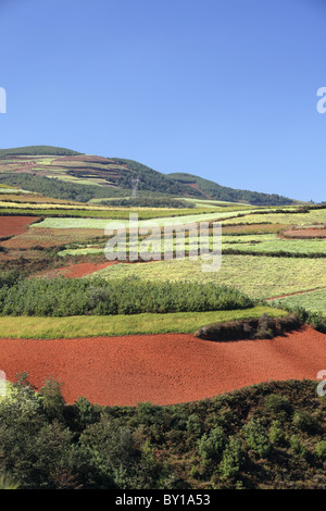 Terra rossa del suolo, Dongchuan, nella provincia dello Yunnan in Cina Foto Stock