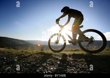 Mountain bike sui Penmachno Bike, vicino a Betws-y-Coed, Snowdonia. Foto Stock