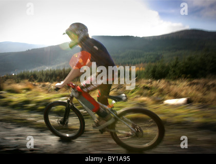 Mountain bike sui Penmachno Bike, vicino a Betws-y-Coed, Snowdonia. Foto Stock