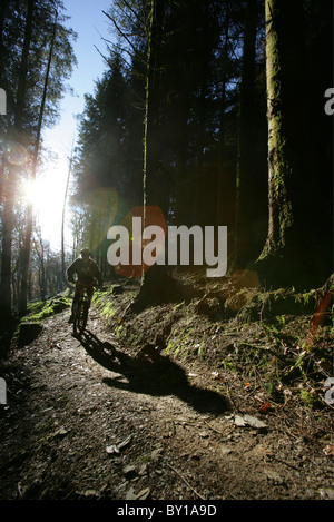 Mountain bike sui Penmachno Bike, vicino a Betws-y-Coed, Snowdonia. Foto Stock