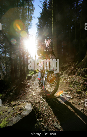 Mountain bike sui Penmachno Bike, vicino a Betws-y-Coed, Snowdonia. Foto Stock