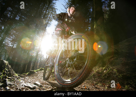 Mountain bike sui Penmachno Bike, vicino a Betws-y-Coed, Snowdonia. Foto Stock