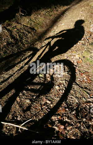 Mountain bike sui Penmachno Bike, vicino a Betws-y-Coed, Snowdonia. Foto Stock