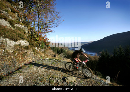 Mountain bike sui Penmachno Bike, vicino a Betws-y-Coed, Snowdonia. Foto Stock