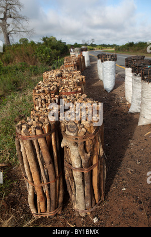 MECATI foresta, vicino a Nampula, Mozambico, Maggio 2010 : Sacchi di carbone per la vendita dal ciglio della strada. Foto Stock