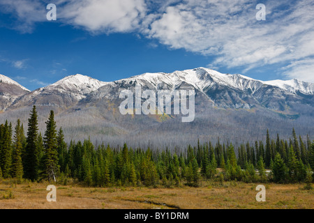 Gamma Mitchell, Kootenay National Park, British Columbia, Canada Foto Stock