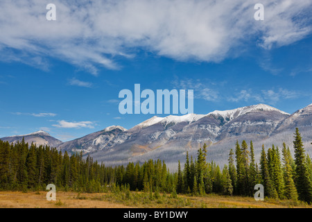 Gamma Mitchell, Kootenay National Park, British Columbia, Canada Foto Stock