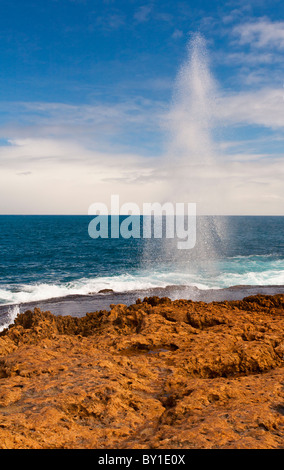 Blowhole in un antico Coral reef, punto Quobba, Carnarvon, Australia occidentale Foto Stock