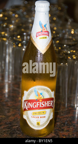 Un vaso freddo di Kingfisher birra chiara in India Foto Stock