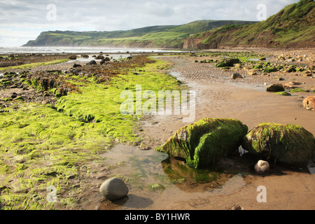 Spiaggia a Robin cappe Bay, North Yorkshire Foto Stock