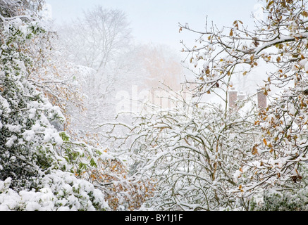 Una suggestiva vista di coperta di neve tree tops e tetti, Chislehurst, Kent, Regno Unito. Foto Stock