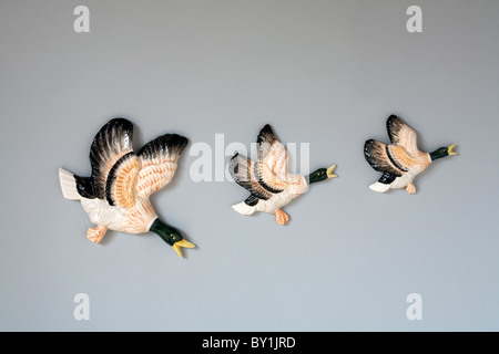 Flying Duck ornamenti sulla parete Foto Stock