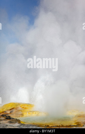 Yellowstone la clessidra geyser che erutta Foto Stock