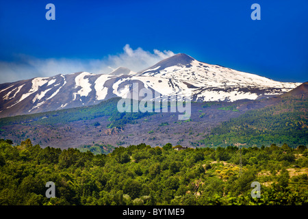 Cenere vulcanica sulle pendici dell'Etna, attiva montagna olcanica, Sicilia Foto Stock