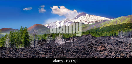 Cenere vulcanica sulle pendici dell'Etna, attiva montagna olcanica, Sicilia Foto Stock