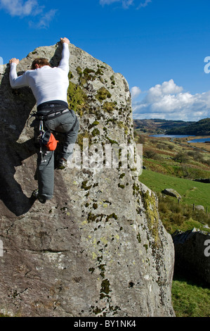 Il Regno Unito, il Galles del Nord, Snowdonia. Un uomo arrampicata su un grande masso di granito nei pressi di Snowdon. (MR) Foto Stock