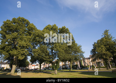 Il verde, Stokesley, North Yorkshire, Inghilterra, Regno Unito Foto Stock