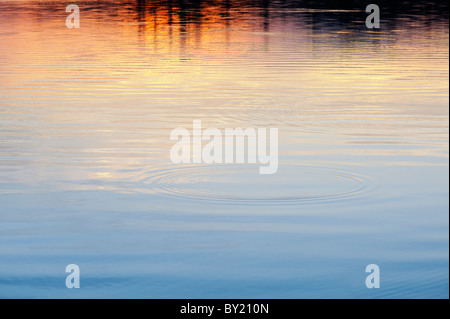 Golden acqua increspature al tramonto su un lago in India Foto Stock