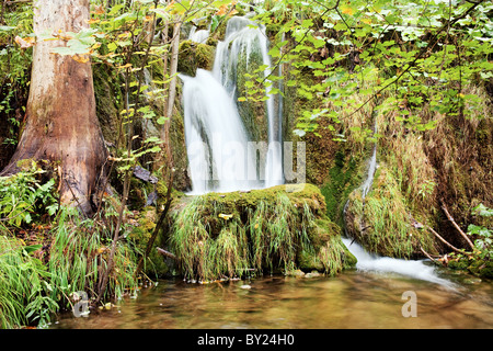 Una piccola cascata nella foresta mediterranea Foto Stock