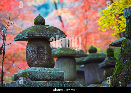 Asia, Giappone. Kyoto, Sagano, Nison in (Nisonin) Tempio, (834), la lanterna di pietra rossa tra foglie di autunno Foto Stock