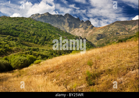 Guardando verso Curavacas, la vetta più alta delle montagne Palentine, parte del Cantabrico montagne del nord della Spagna Foto Stock