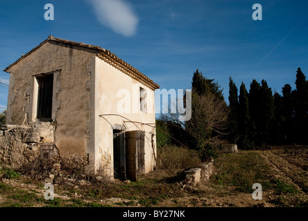 Una cabina abbandonati o piccola casa in Provenza, in Francia con il cielo blu, pini in background e viti nella parte anteriore Foto Stock