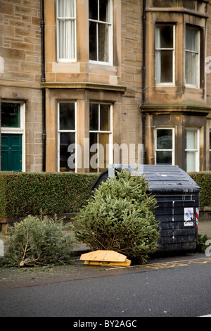 Fine della stagione festiva. Importazioni oggetto di dumping di alberi di Natale in attesa per la raccolta differenziata dei rifiuti. Foto Stock