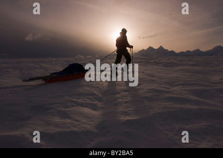 Glacier geologia dottorando sci attraverso il ghiacciaio di Brady, tirando una slitta di apparecchiature geofisiche. Foto Stock