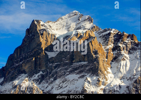 Piste Alpine guardando verso il Wetterhorn. Alpi svizzere, Svizzera Foto Stock