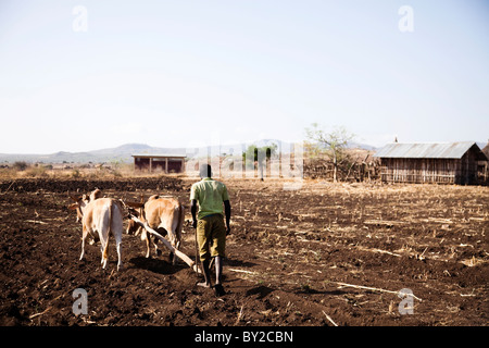 Gli agricoltori locali a lavorare nel campo nella remota valle dell'Omo, Etiopia. Foto Stock