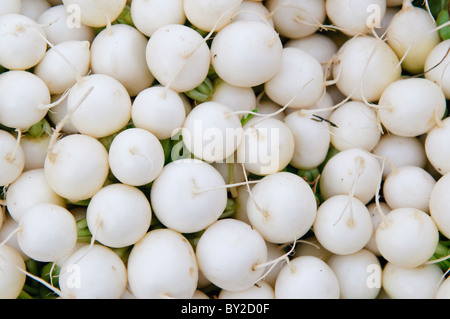 Close-up di piccoli e bianchi ravanelli in vendita su una fase di stallo in un mercato degli agricoltori, Boulder, Colorado. Foto Stock